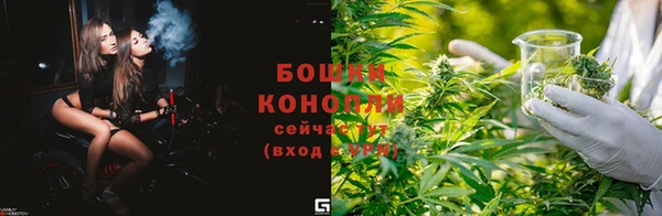 ПСИЛОЦИБИНОВЫЕ ГРИБЫ Верхний Тагил