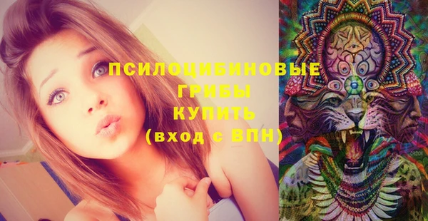 MDMA Premium VHQ Верхнеуральск