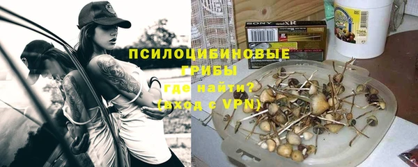 ПСИЛОЦИБИНОВЫЕ ГРИБЫ Верхний Тагил